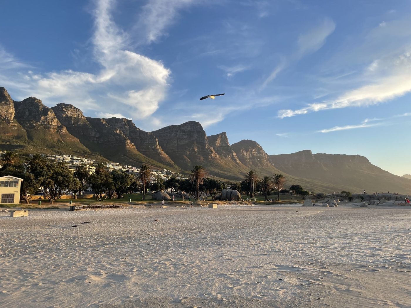 Camps Bay beach under the Twelve Apostles